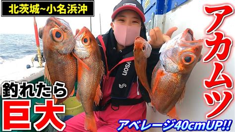 【アカムツ釣り】アベレージが40~50cm常磐沖の巨大アカムツを釣り上げろアカムツ釣行2days 【第15隆栄丸】【第八光勝丸