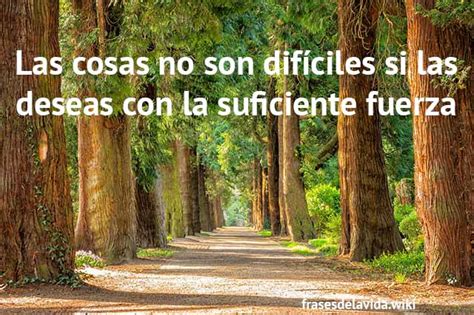 Frases De La Vida Cortas Para Reflexionar Y Pensar