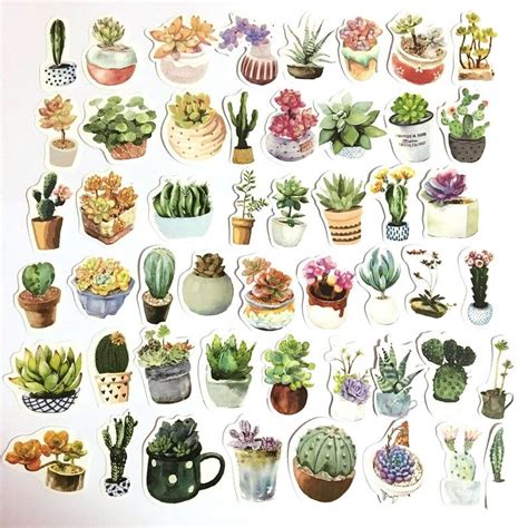 Pcs Cactus Sticker Pack Potted Cacti Sticker Set Plants Etsy