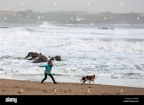 David Brownlow Hi Res Stock Photography And Images Alamy