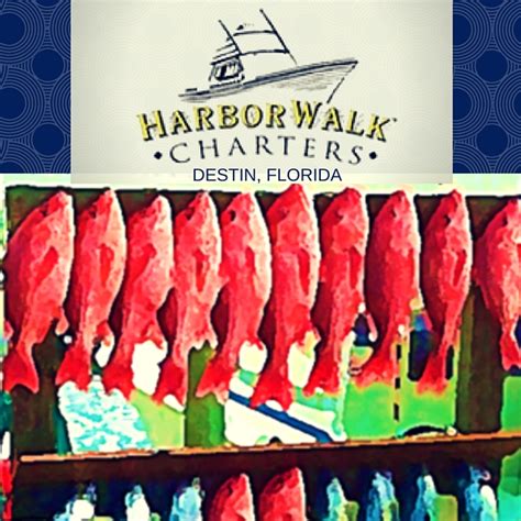 Harborwalk Charters Charter Fishing Destin