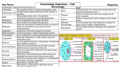 Ks4 Aqa Gcse Biology Science Cells Revision Knowledge Organiser Teaching Resources Science