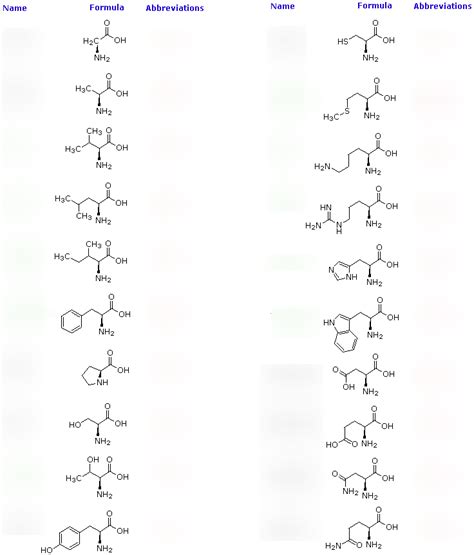 Diagram Of Amino Acid Name And Abbreviations Practice Quizlet