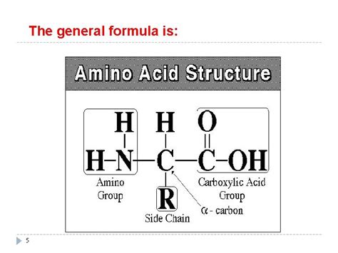 Biochemistry Lectures Amino Acids And Proteins Chemistry