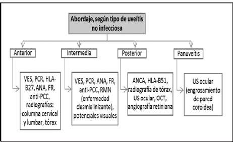 Recomendaciones médicas para uveítis no infecciosas en adultos