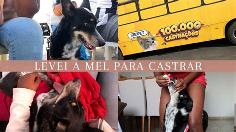 CASTREI MINHA CACHORRA SEM PAGAR 2 DIAS A GENTE RECUPERAÇÃO