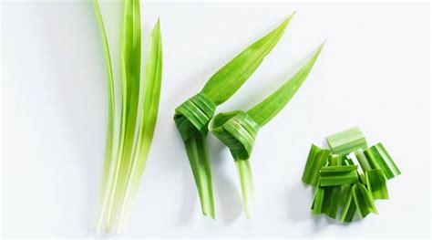 serbi daun pandan