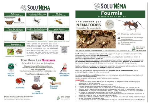 SOLUNEMA Fourmis 50 millions Nématodes SF Solu Chêne