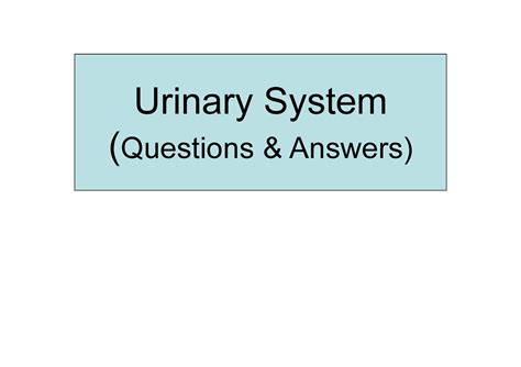 Renal Questions And Answers Urinary System Questions Answers