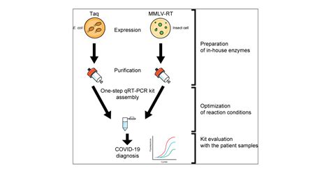 Quick And Easy Assembly Of A One Step QRT PCR Kit For COVID 19