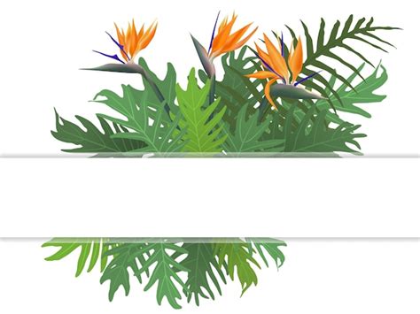 Helecho De Hojas Verdes Ex Ticas Tropicales Y Marco Vectorial De Flores