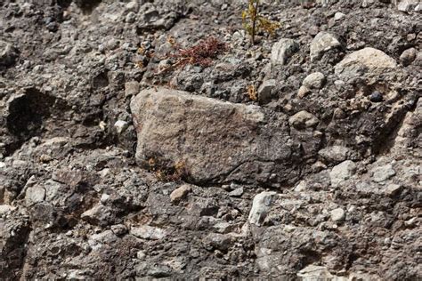 Volcanic Tuff With Large Rock Fragments Stock Photo Image Of Tertiary