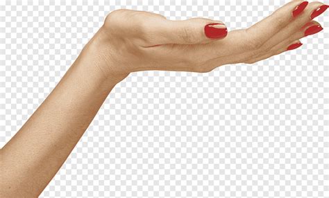 Woman Hand Icon Hands Hand Image File Formats People Png PNGEgg