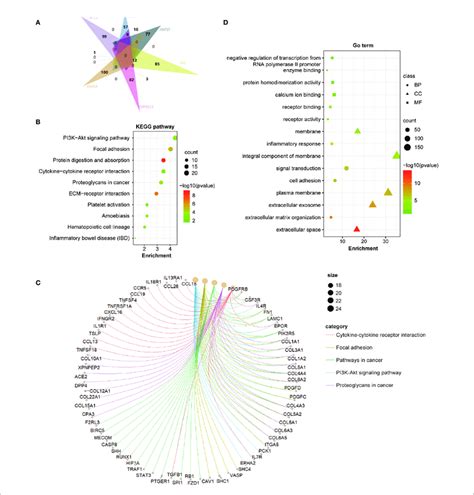 Coronavirus Receptor Related Gene Enrichment Analysis In Gbm A An