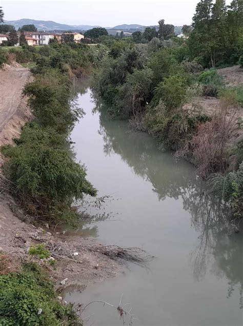 La Voce Dei Lettori Dopo Oltre Un Mese Strade Ancora Chiuse E Argini