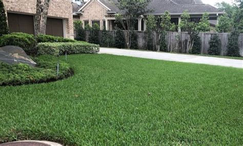 Greengate Turf And Pest Conroe Sod Webworm Treatment