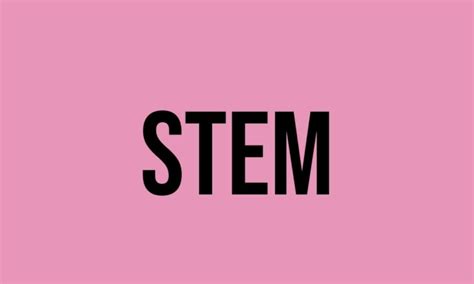 What Does Stem Mean Meaning Uses And More Fluentslang