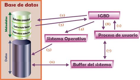 12 Componentes De Los Sgbd Issuu