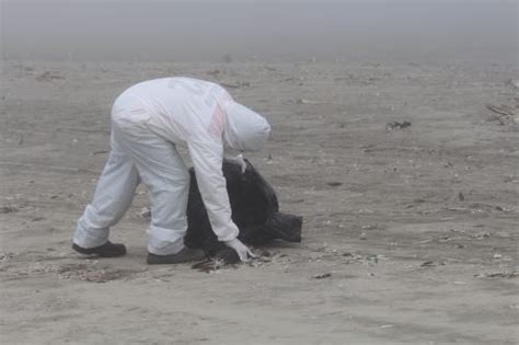 Áncash Brigadas Sepultan Más De Una Tonelada De Aves Muertas En Playa