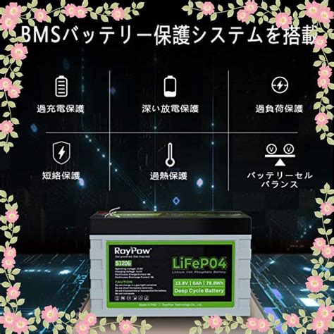 Roypow 12v 12ah リン酸鉄リチウムイオンバッテリーlifepo4 電動リール用バッテリー 3500サイクル Bmsバッテリ