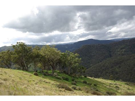 Stewarts Brook Road Scone Nsw 2337 The Real Estate Agency Withdrawn