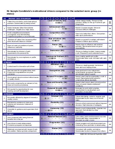 17 Free Motivation Questionnaire Templates In Pdf Microsoft Word