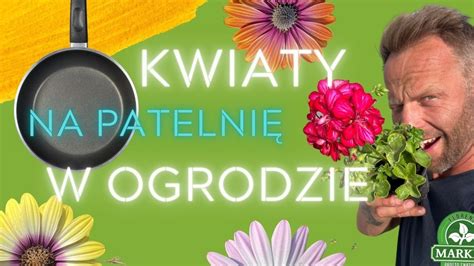 Kwiaty Ogrodowe Na S Oneczne Tarasy Ro Liny Odporne Na Susz Youtube