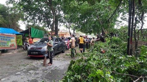 Angin Kencang Bikin Pohon Di Jakarta Tumbang Orang Luka Dan