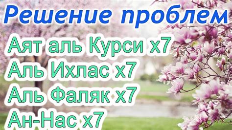 Аятуль Курси, суры аль Ихлас, аль Фаляк, ан Нас х7 избавление от ...