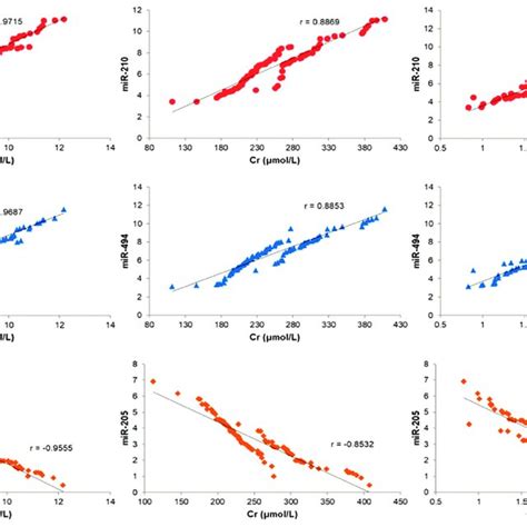 Correlation Analysis Of Mir 210 Mir 494 And Mir 205 With Biochemical