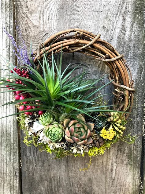 Christmas Holiday Living Wreath Air Plants Succulents Etsy