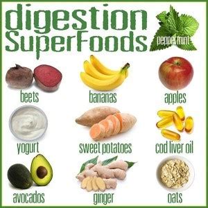 Digestion Super Foods – Forever Natural Wellness