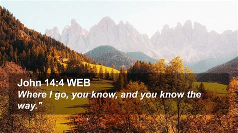 John Web Desktop Wallpaper Where I Go You Know And You Know The