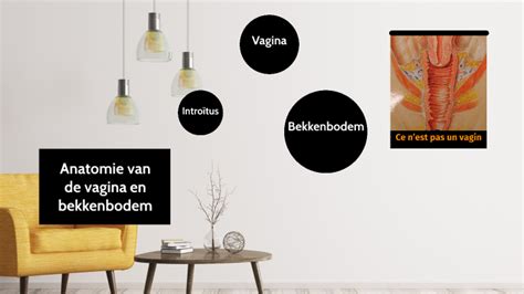 Anatomie Vagina By D V On Prezi