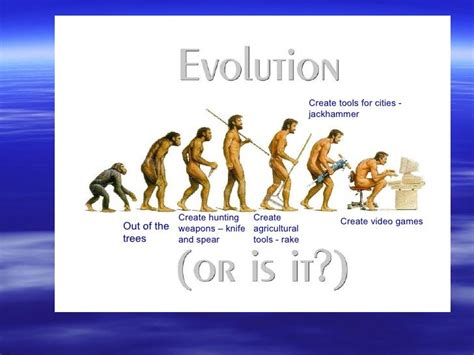 The Theory Of Evolution: The Theory Of Evolution Notes