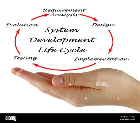 System Development Life Cycle Sdlc Stock Photo Alamy