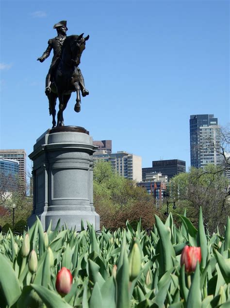 Playing Tourist: Enjoying the Park - Boston Common and Public Gardens