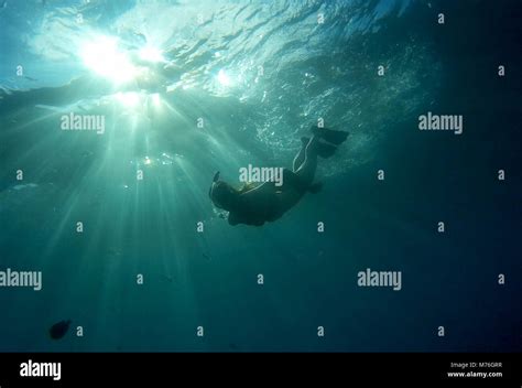 Mädchen im bikini schwimmen Fotos und Bildmaterial in hoher Auflösung Alamy