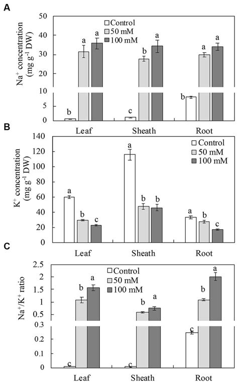 Frontiers Effect Of NaCl On Physiological Biochemical And Ionic