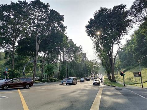 Road Between Bukit Batok Nature Park And Toh Tuck Forest Editorial