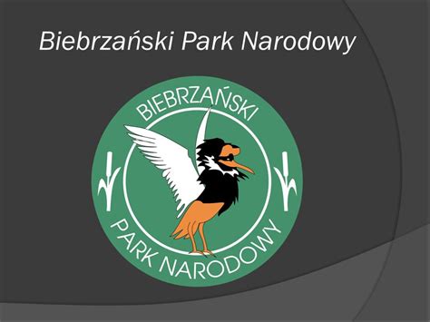 Biebrza Ski Park Narodowy Ppt Pobierz