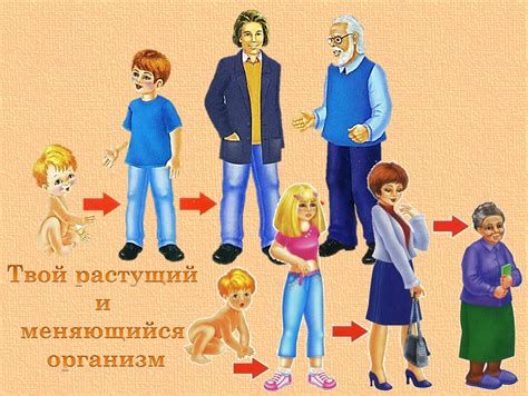 Презентация "Как устроен человек?"