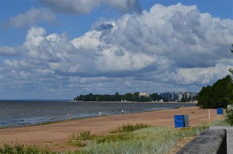Зеленогорск пляж (75 фото)