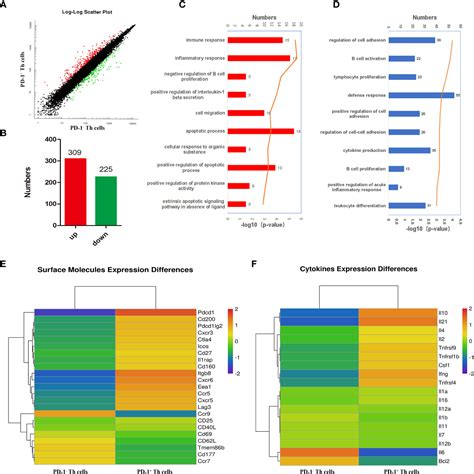 Frontiers PD 1 CD4 T cell immune response is mediated by HIF 1α