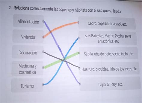 relaciona correctamente y las especies y hábitats con el uso que se les