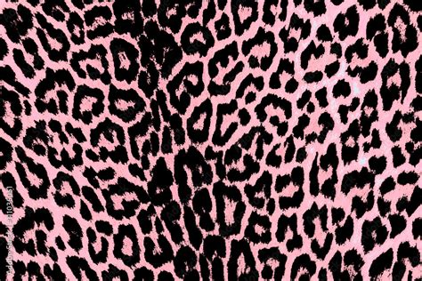 Beautiful Pink Leopard Pattern Fur Background Animal Print Wallpaper