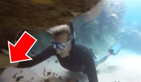 Youtube Viral Buzo Excursiona Por El Fondo Del Mar Y Encuentra Huevos