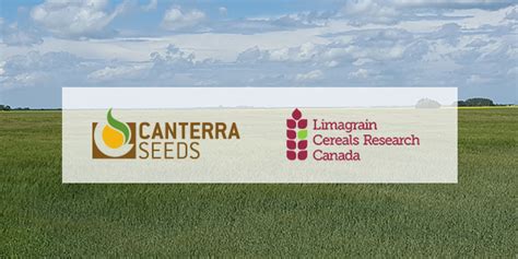 Limagrain Cereals Research Canada To Register First Wheat Varieties