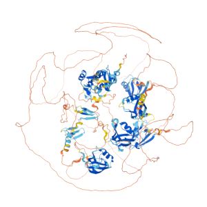 MAGI3 Gene - GeneCards | MAGI3 Protein | MAGI3 Antibody