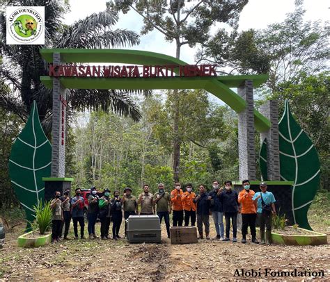 Pelepasliaran Satwa Liar Trenggiling Dan Kukang Di Kawasan Hutan TWA